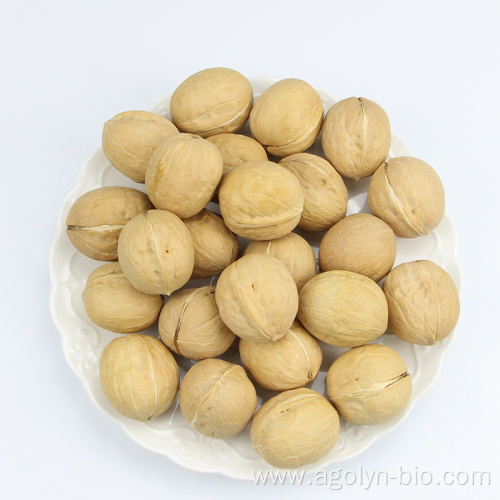 Top quality bulk raw Xinjiang Walnut In Shell